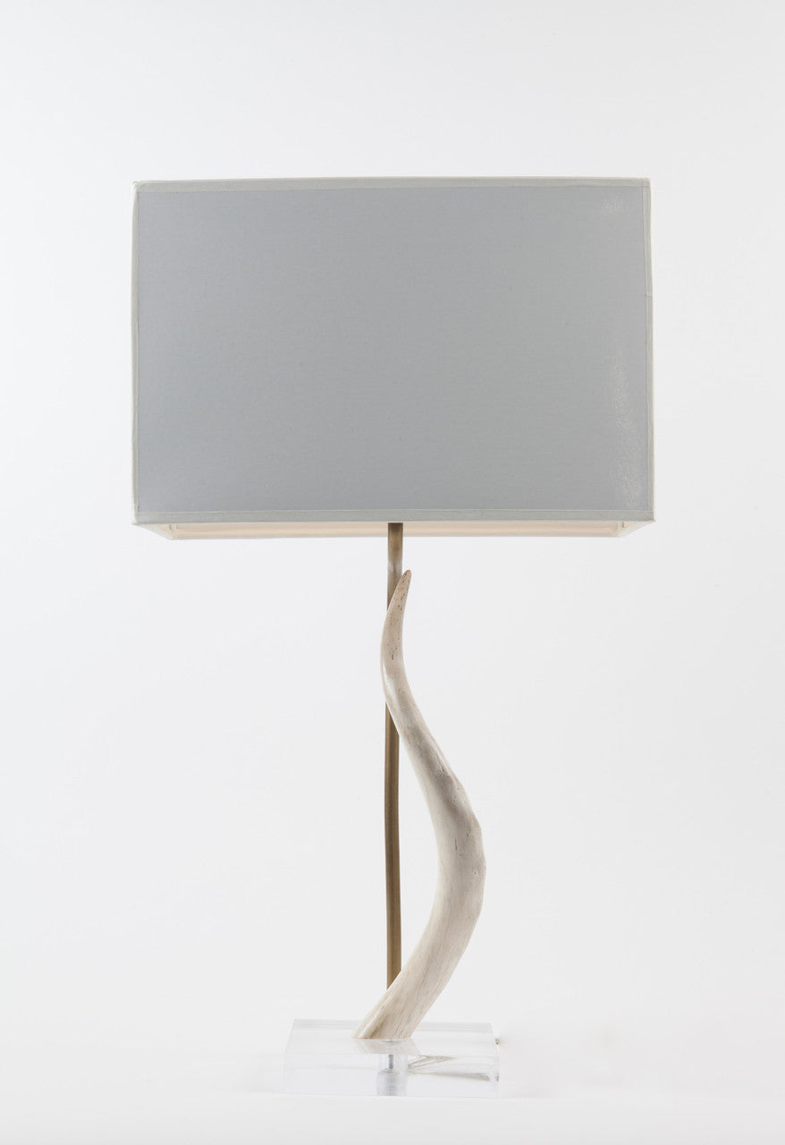 Impala Horn Table Lamp on Acrylic