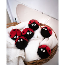 Load image into Gallery viewer, Laundrybugs Eco Dryer Balls
