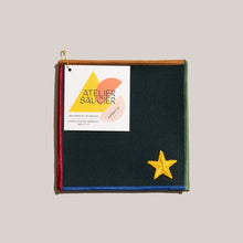 Load image into Gallery viewer, Varsity Cocktail Napkin Set
