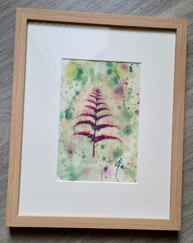 Pink Fern