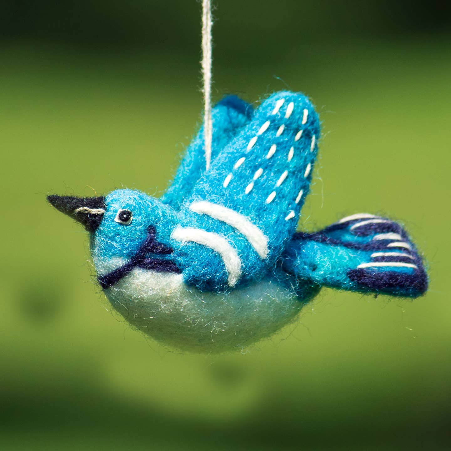 Cerulean Warbler Woolie Bird