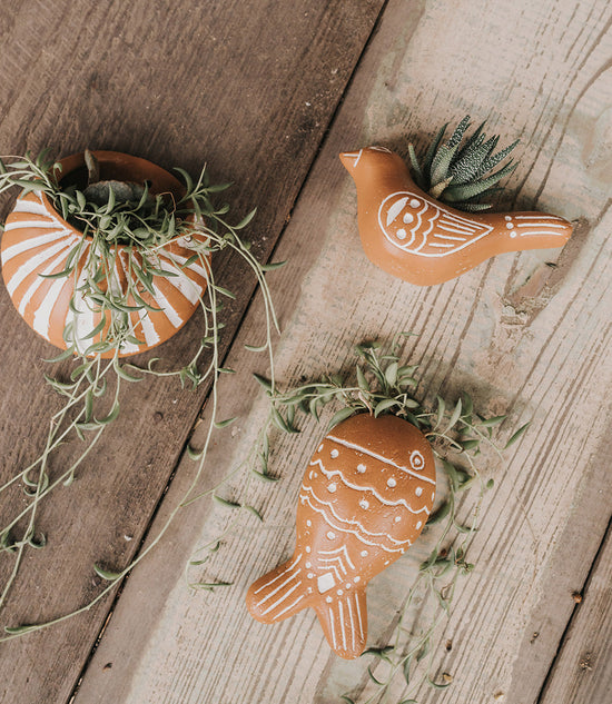 Vasanta Wall Planter Collection