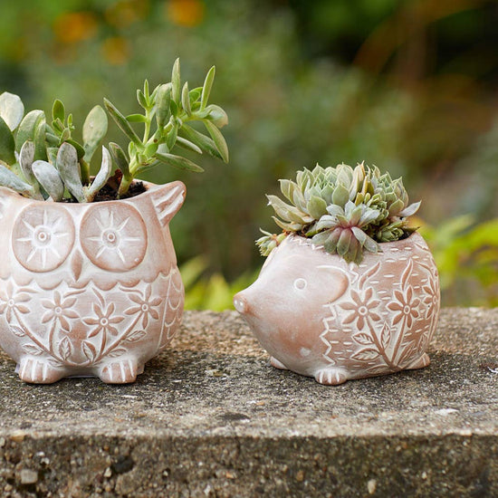Happy Hedgehog Terracotta Planter