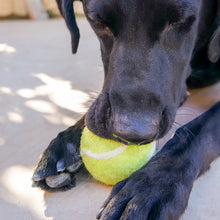 Load image into Gallery viewer, Tennis Eco Wool Dryer Balls - Grand Slam
