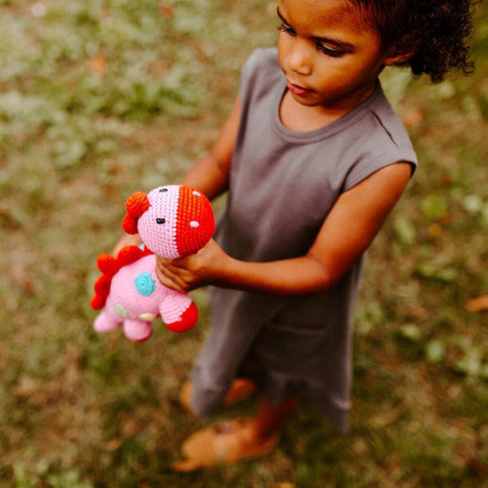 Steggy Dinosaur Rattle