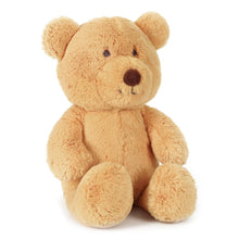 Load image into Gallery viewer, Honey Bear Soft Toy
