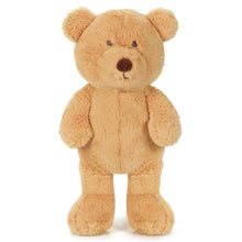 Load image into Gallery viewer, Honey Bear Soft Toy
