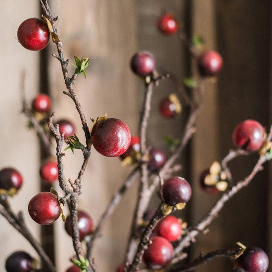 Artificial Passion Fruit Stem 37"