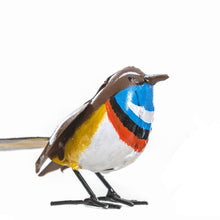 Load image into Gallery viewer, White Spotted Metal Bluethroat
