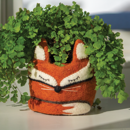 Hand-Felted Animal Pots