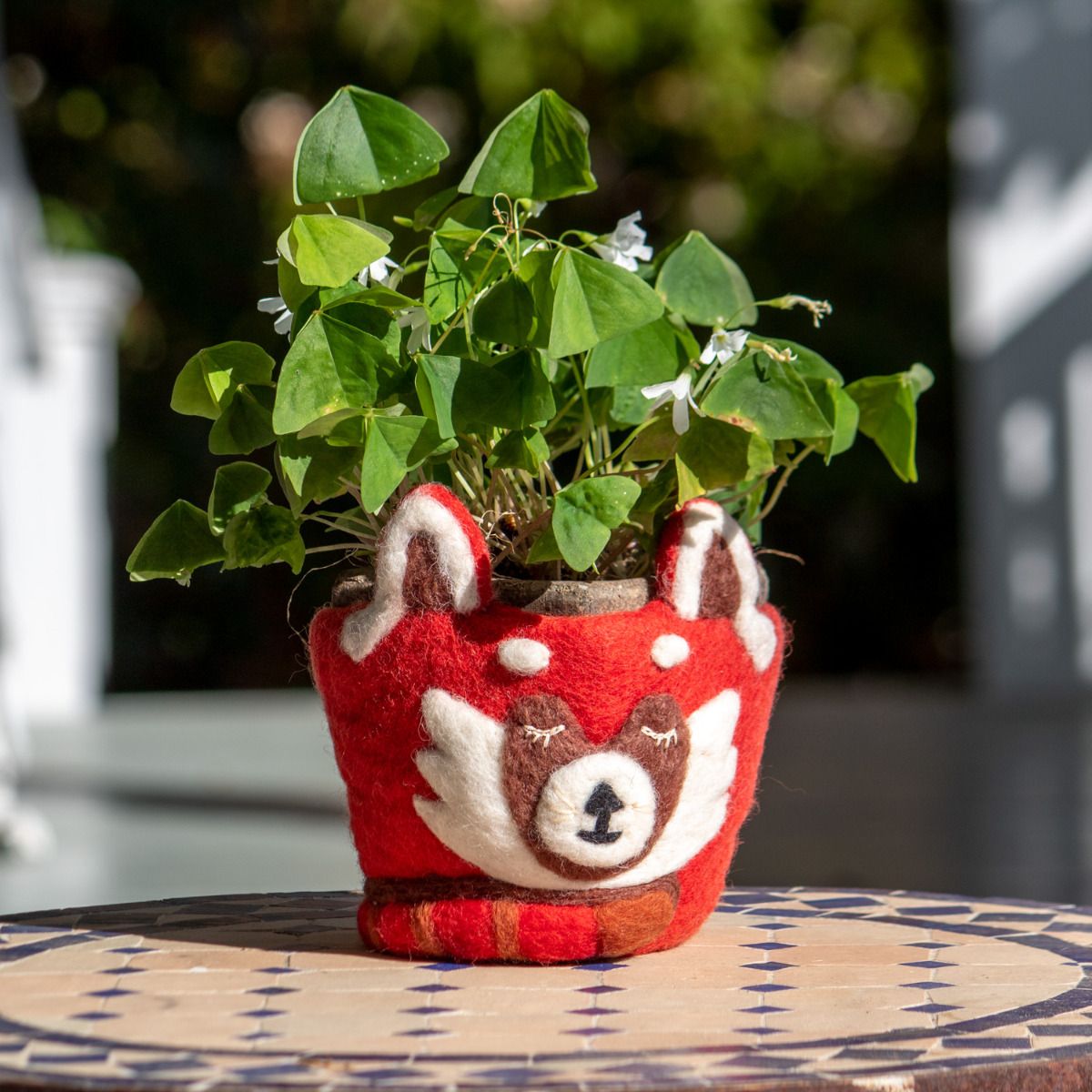 Hand-Felted Animal Pots