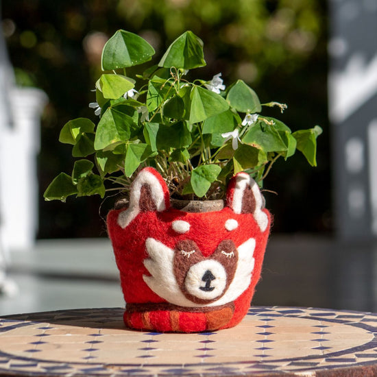 Hand-Felted Animal Pots