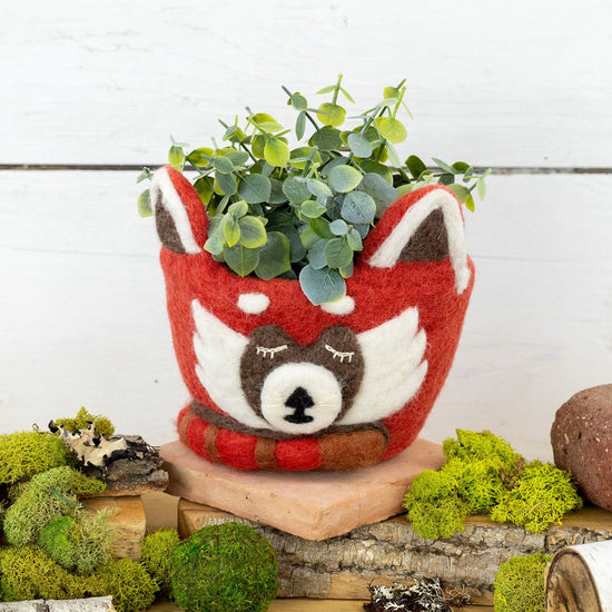 Hand-Felted Animal Pots