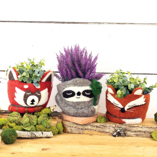 Hand-Felted Animal Pots