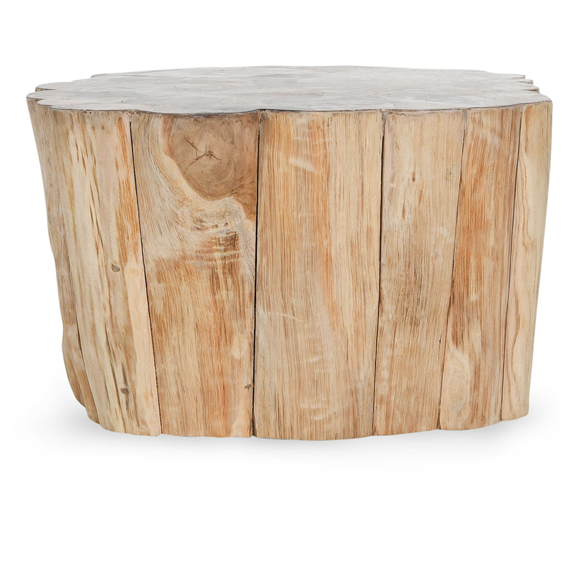 Norwest Petrified Wood Coffee Table