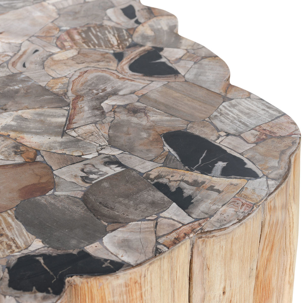 Norwest Petrified Wood Coffee Table