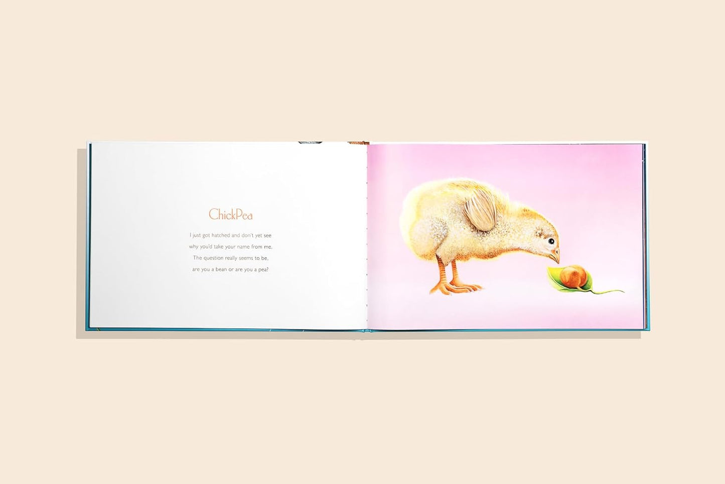 You Stole My Name Too Book