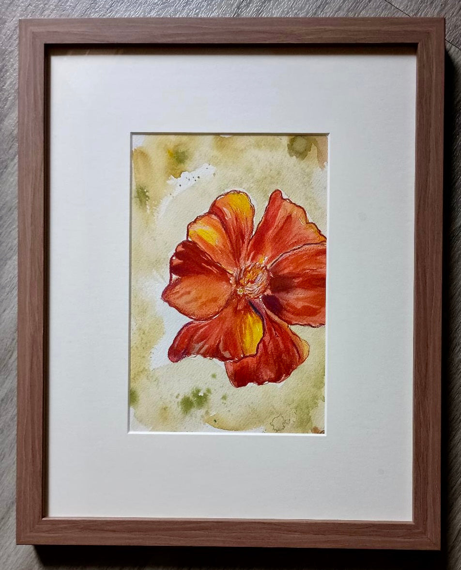 Marigold