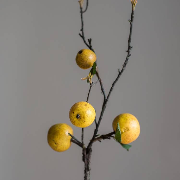 Artificial Fruit Yellow Apple Pear Stem 27" Tall