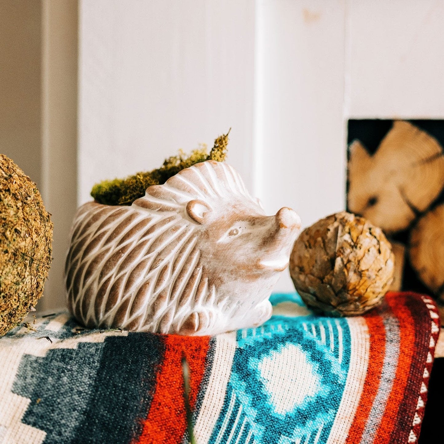 Small Hedgehog Planter