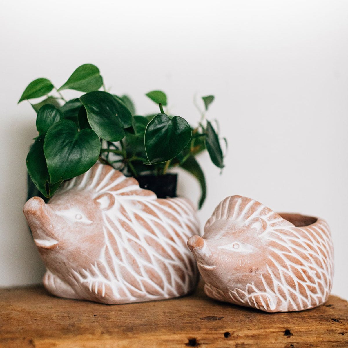 Small Hedgehog Planter