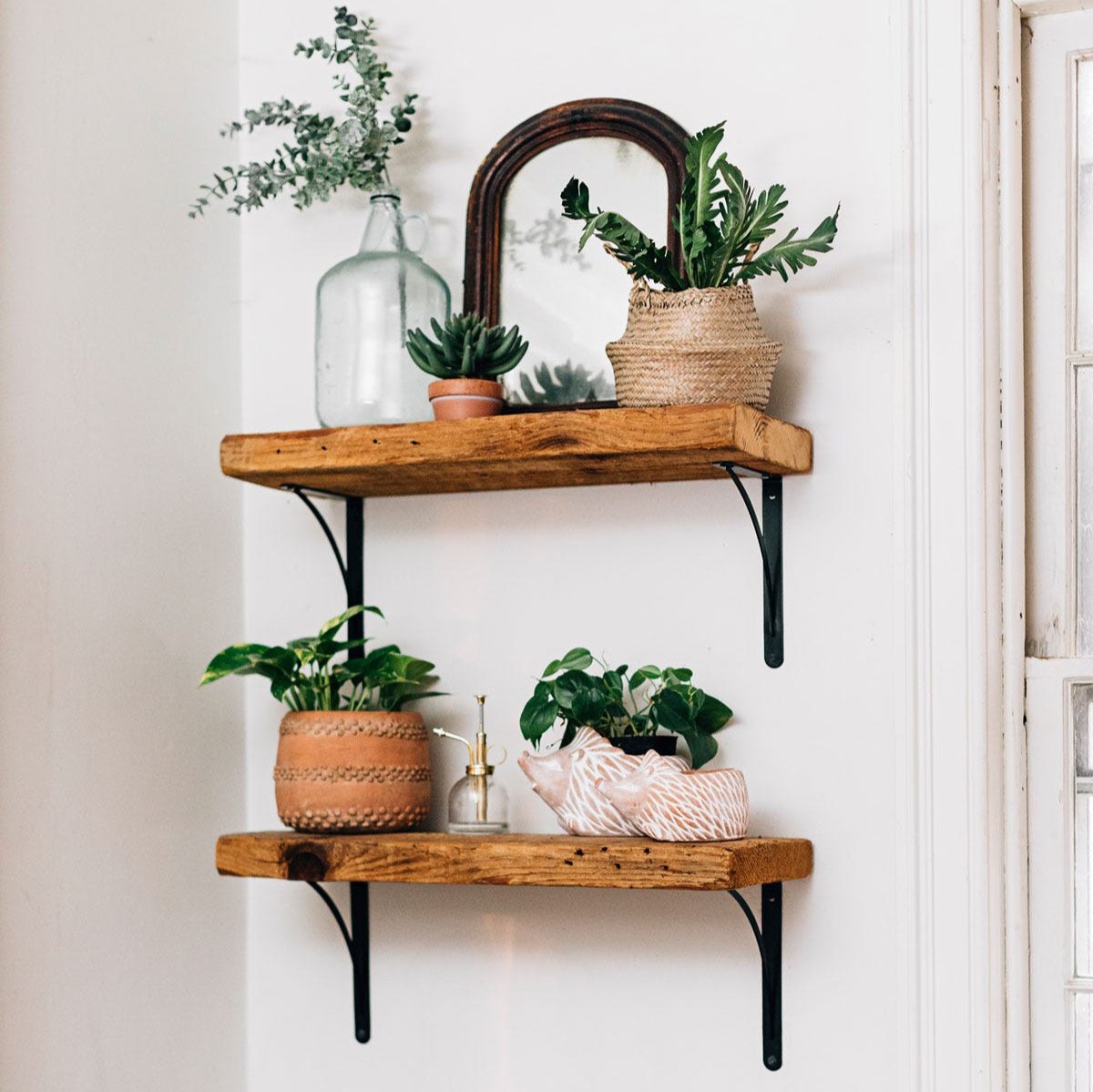 Small Hedgehog Planter
