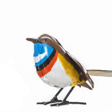 Load image into Gallery viewer, White Spotted Metal Bluethroat
