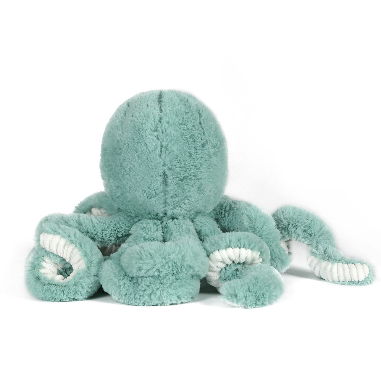 Eco-Friendly Little Reef Octopus