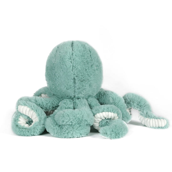 Eco-Friendly Little Reef Octopus