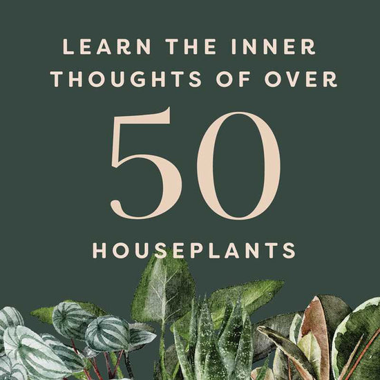 Houseplants and their F*cked-Up Thoughts by Carlyle