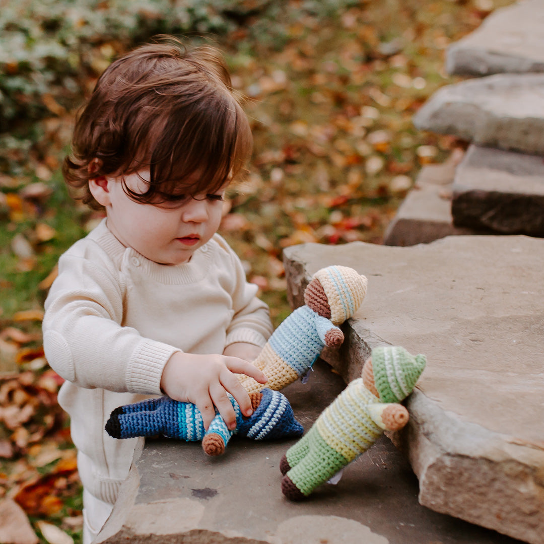 Green Pixie Rattle Fern