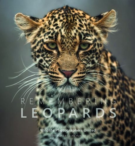 Remembering Leopards