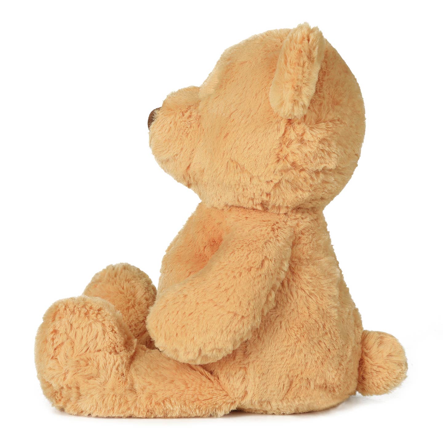 Honey Bear Soft Toy