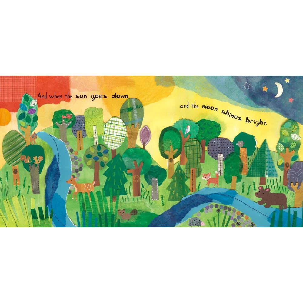 Who's in the Forest - Board Book