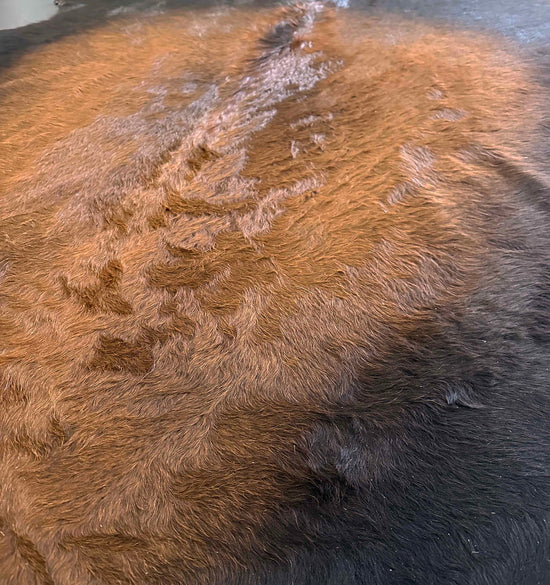 Black Brown Cowhide Rug