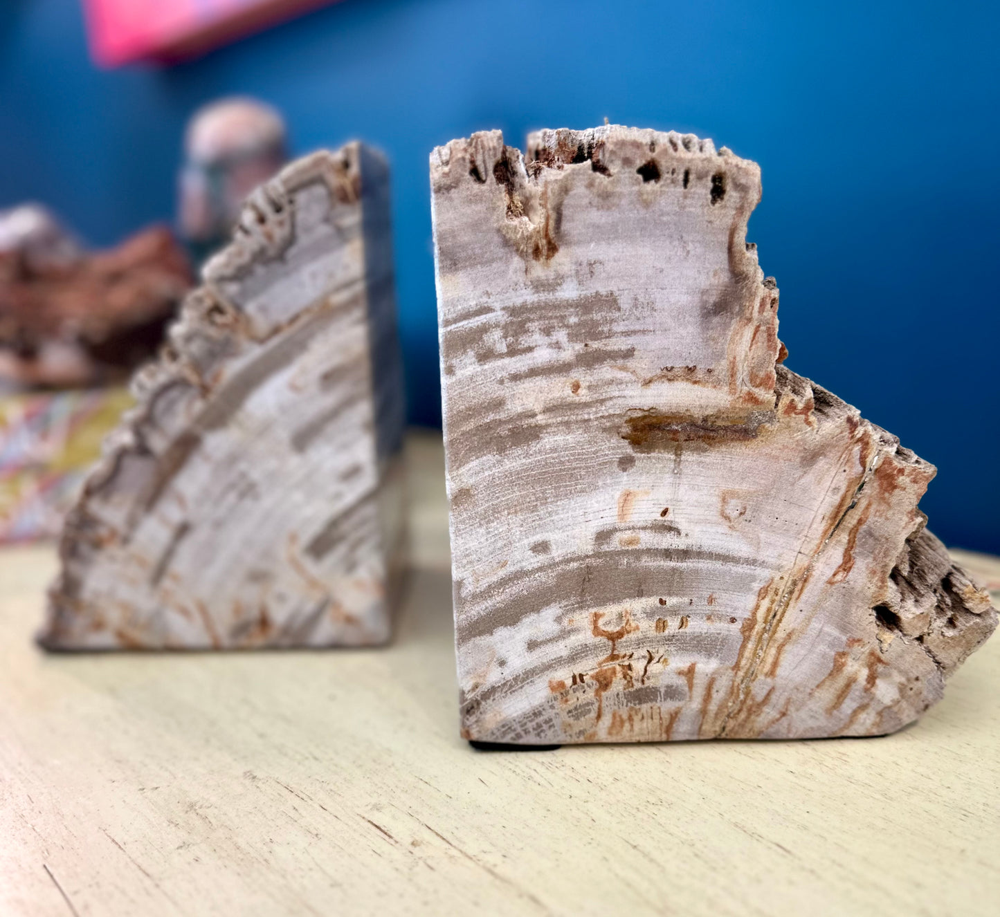 Nature's Perfect Pair of Bookends
