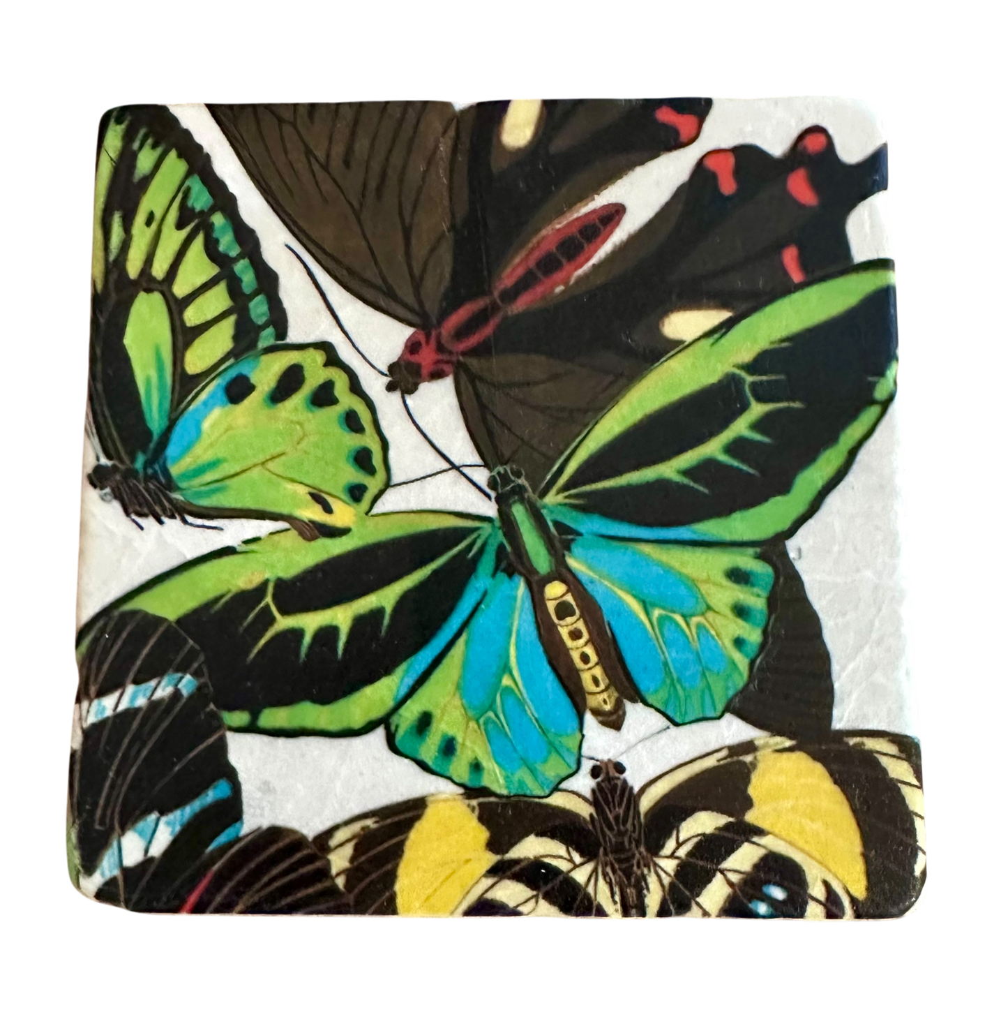 Butterflies - Tumbled Marble Coasters