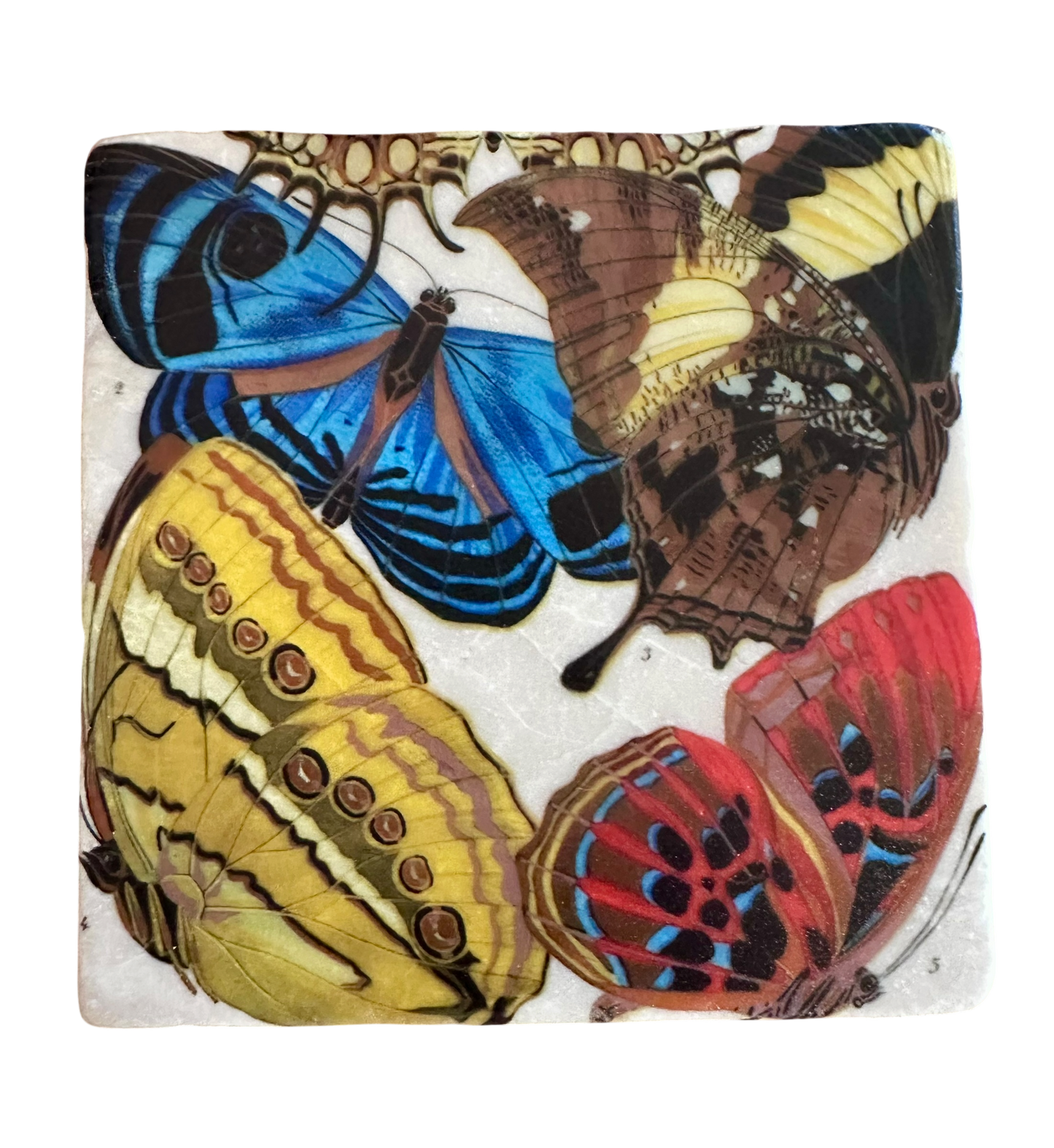 Butterflies - Tumbled Marble Coasters
