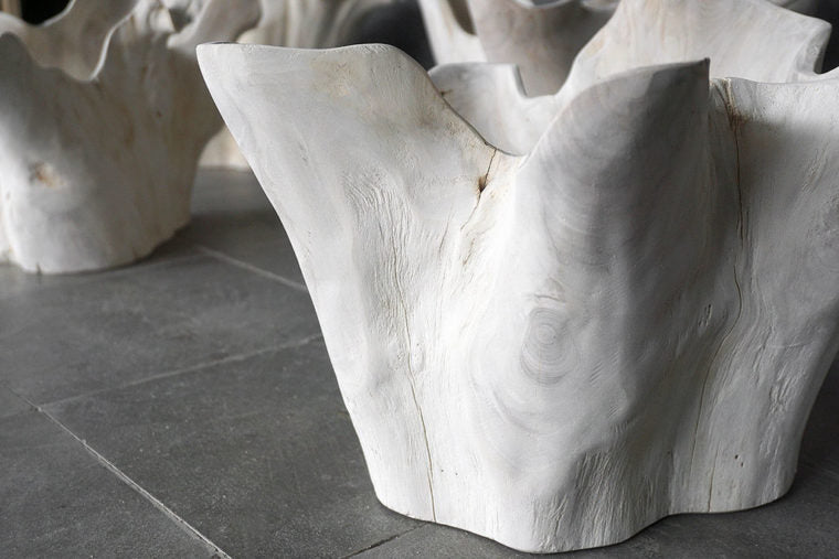 Live Edge Teak Root Vase
