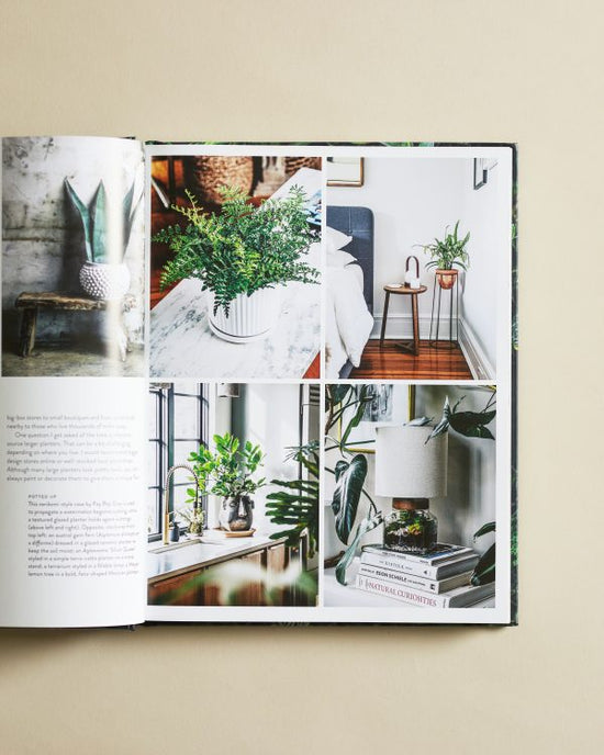 Living Wild By Hilton Carter