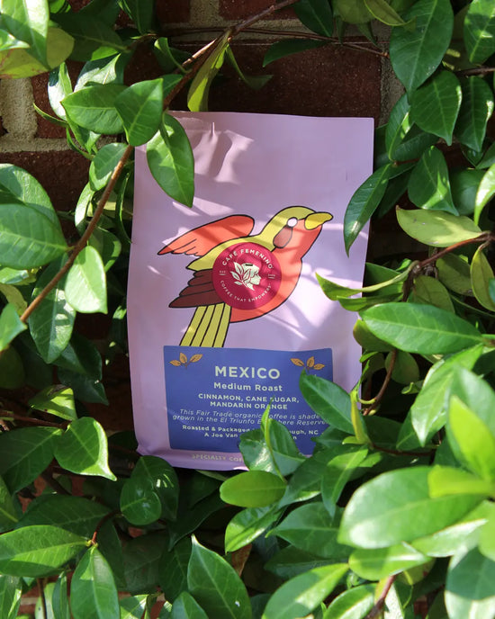 Organic Fair Trade Café Femenino Mexico