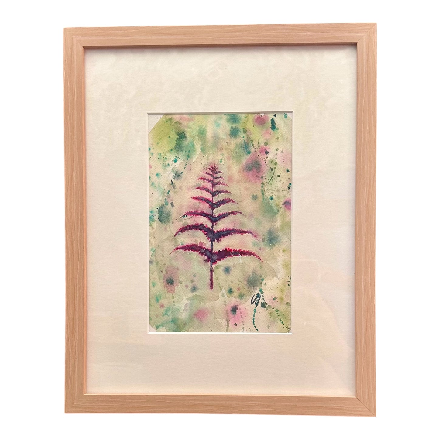 Pink Fern