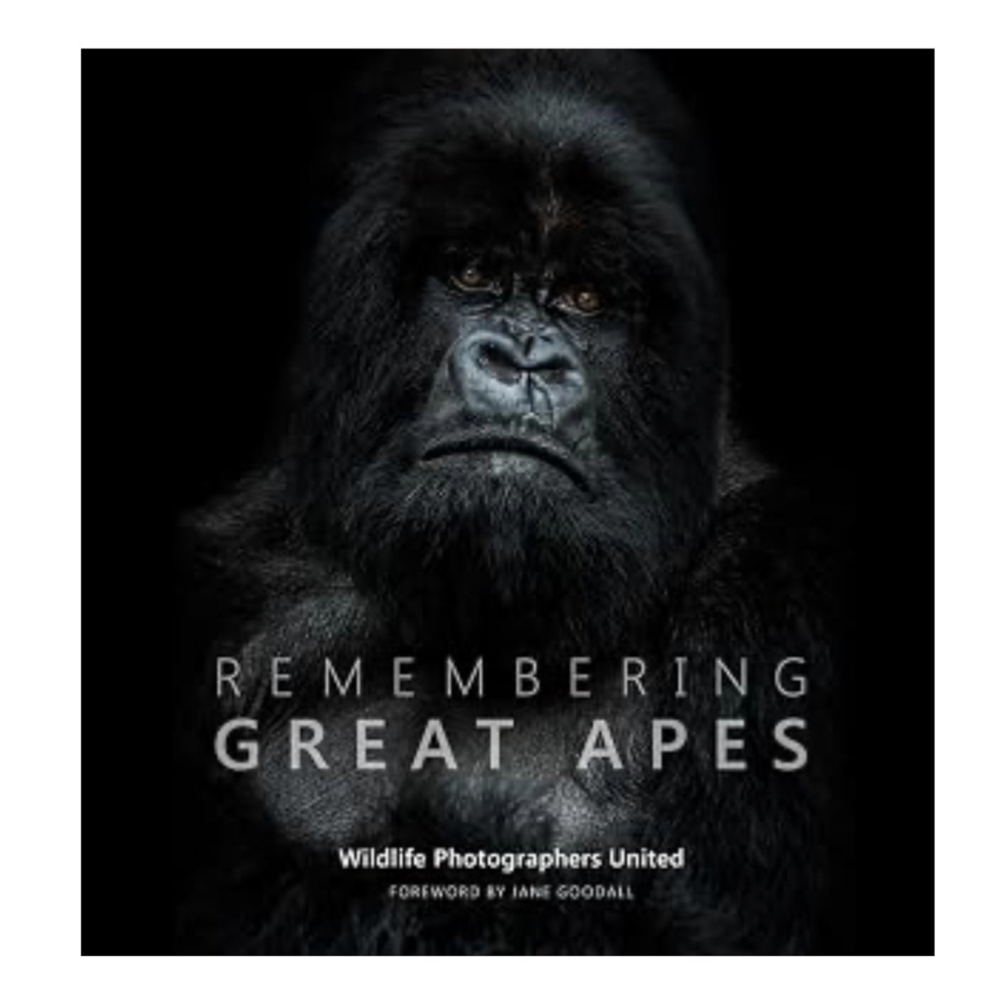 Remembering Great Apes