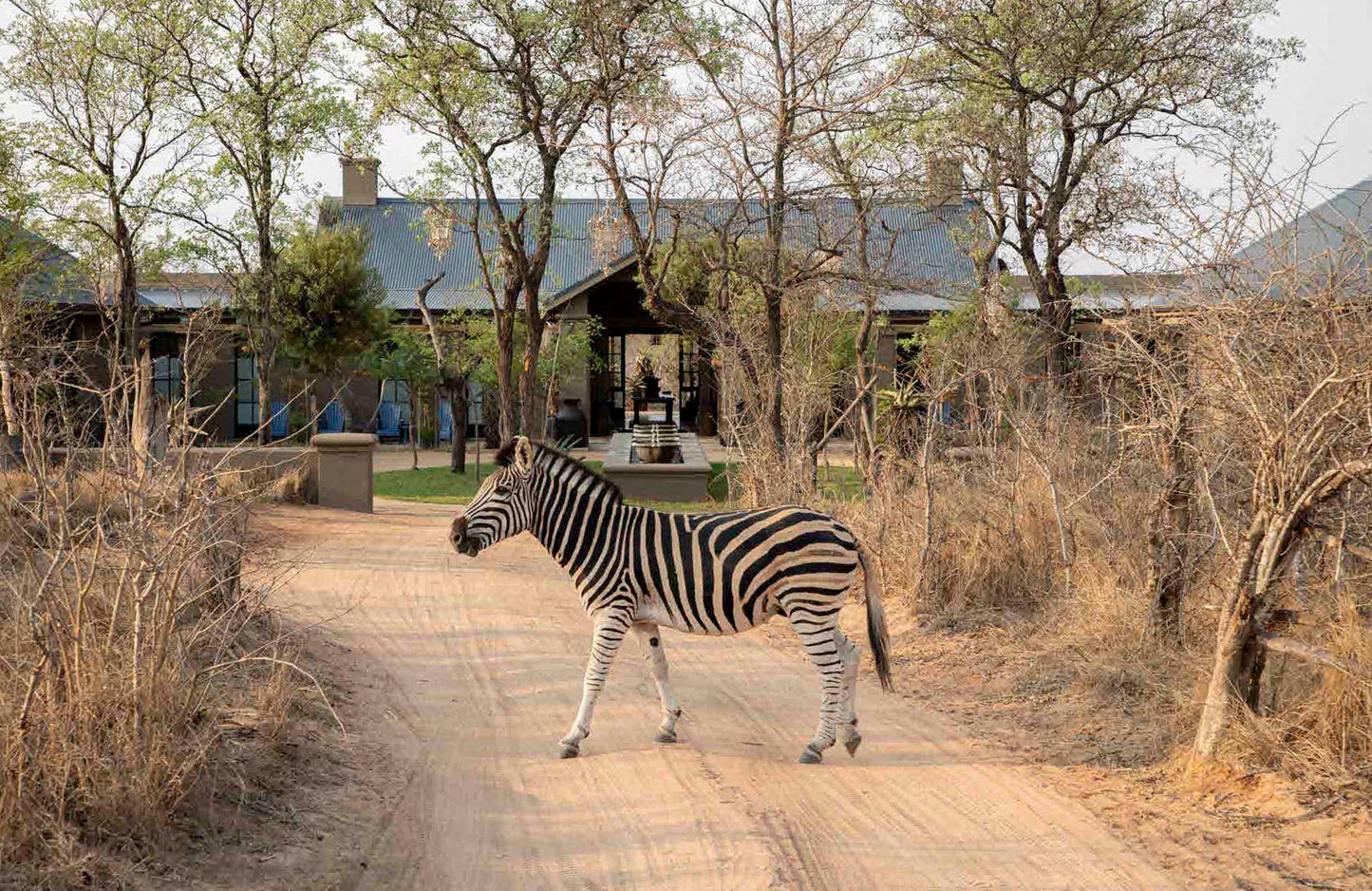 Safari Style: Exceptional African Camps and Lodges