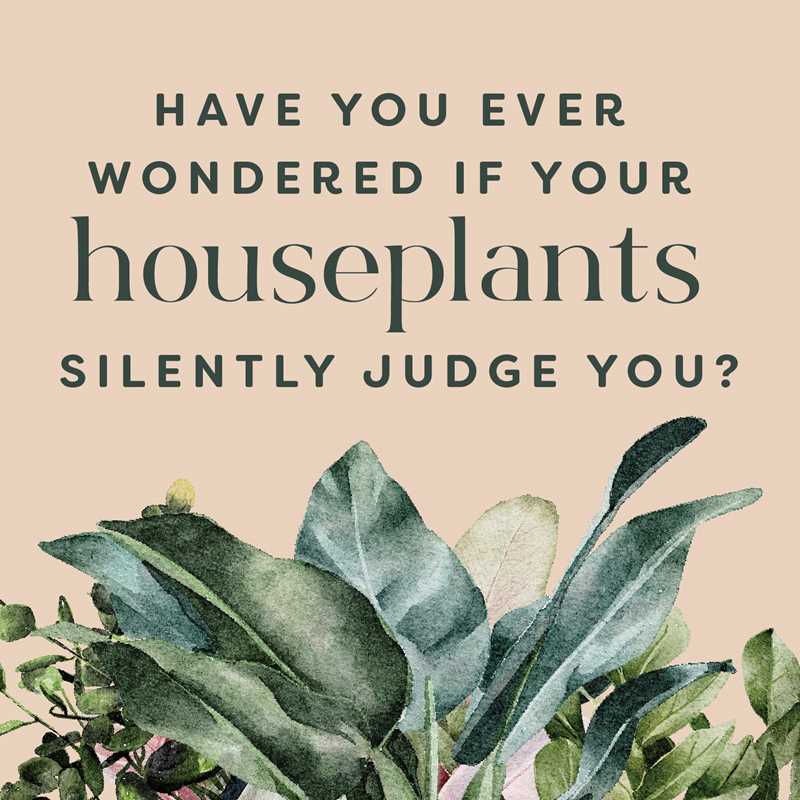 Houseplants and their F*cked-Up Thoughts by Carlyle
