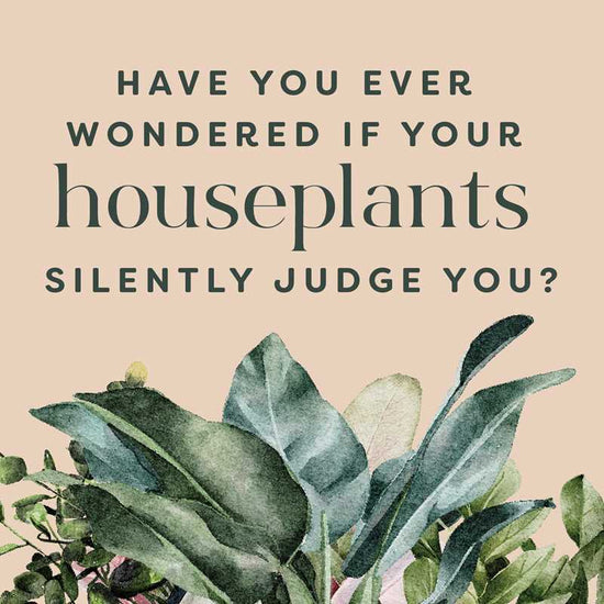 Houseplants and their F*cked-Up Thoughts by Carlyle
