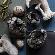 Load image into Gallery viewer, Septarian Dragon Eggs
