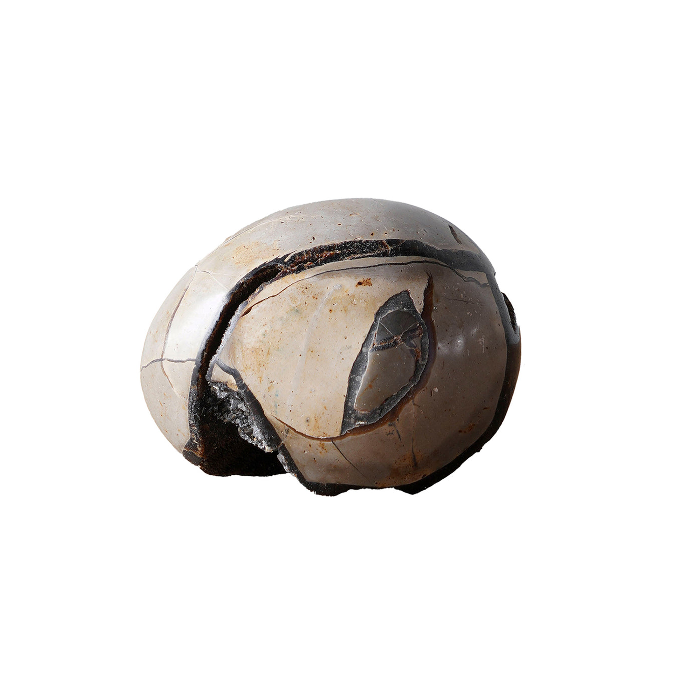 Septarian Dragon Eggs