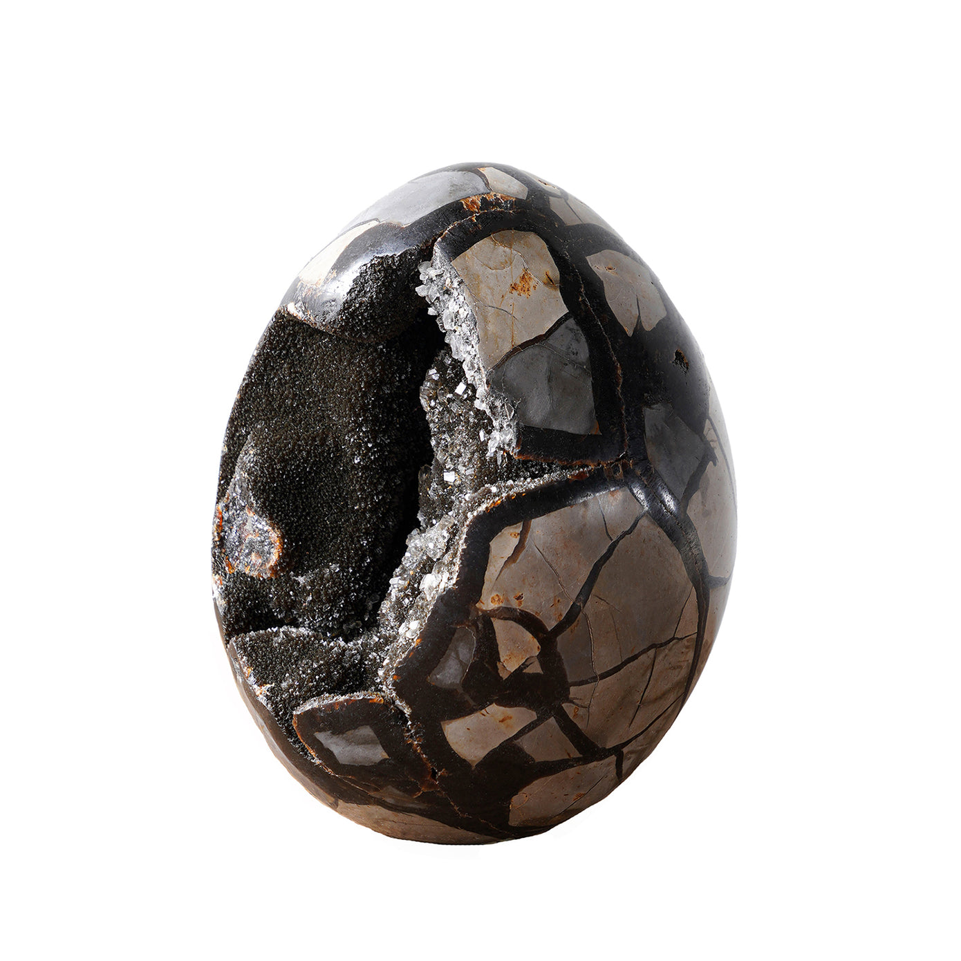 Septarian Dragon Eggs