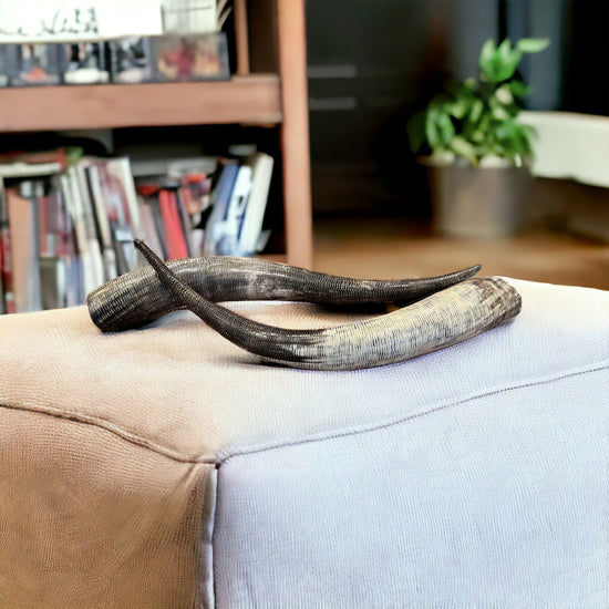 Chiseled Cow Horn